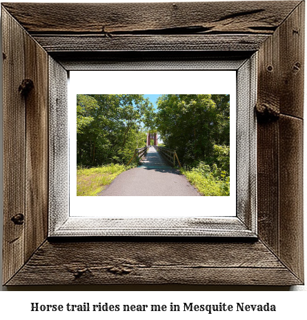 horse trail rides near me in Mesquite, Nevada